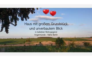 Haus kaufen in 16278 Angermünde, Haus in beliebter Wohngegend mit großem Grundstück & unverbautem Blick in die Natur - Nähe Berlin