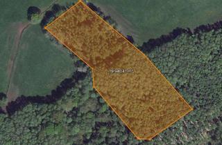 Grundstück zu kaufen in 39291 Reesdorf, Wald Waldfläche 2ha