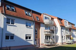 Wohnung kaufen in 67435 Neustadt, Stilvolle, gepflegte 1-Zimmer-Wohnung mit Balkon in Neustadt mit Tiefgaragenstellplatz (neu saniert)