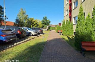 Wohnung mieten in Straße Der Freundschaft, 14778 Golzow, Komfortabel & Sonning: Modernisierte 2-Zim.-Whg. mit Cat7-Verkabelung, Süd-Balkon und Stellplatz