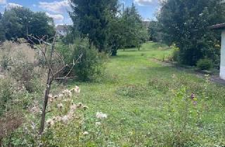 Haus kaufen in Rappenauerstraße 39, 74206 Bad Wimpfen, Bad Wimpfen, Nähe Friedhof, großes Grundstück, älteres renovierungsbedürftiges EFH