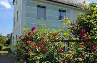 Haus kaufen in 94405 Landau, RESERVIERT! Landau-Stadtgebiet: Kleines, älteres Häuschen sucht neuen Besitzer. PROVISIONFREI!