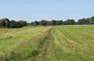 Grundstück zu kaufen in 16766 Kremmen, Charmantes Grundstück für Projektentwicklung mit Perspektive