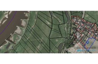 Grundstück zu kaufen in 19322 Rühstädt, Investitionschance im Biosphärenreservat: ca. 1,5 ha Grundstück mit Bauerwartungsland in Bälow