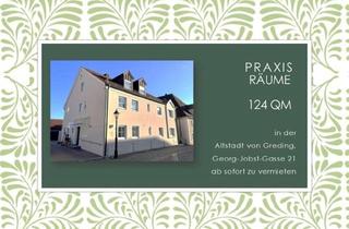 Praxen mieten in Georg-Jobst-Gasse 21, 91171 Greding, Arztpraxis / Kanzlei / Gewerbe
