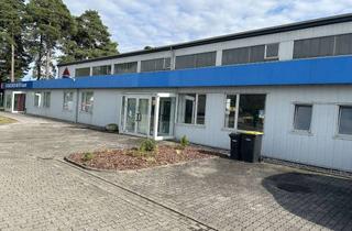 Büro zu mieten in Tannenhof 22, 17235 Neustrelitz, Vermiete Büro und Lagerräume