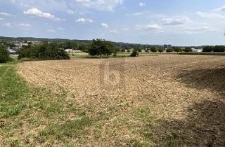 Grundstück zu kaufen in 76698 Ubstadt-Weiher, PLANE DEIN EIGENES TRAUMHAUS IM GRÜNEN