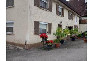 Mehrfamilienhaus kaufen in 88518 Herbertingen, Herbertingen - Mehrfamilienhaus 559m2 + Baugrundstucl 878m2 in Herbertingen