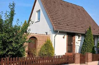 Einfamilienhaus kaufen in 29549 Bad Bevensen, Bad Bevensen - Einfamilienhaus zu verkaufen, sehr gepflegt und langlebig