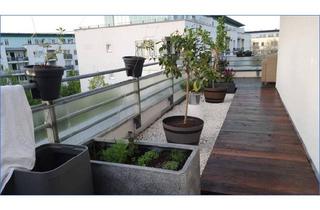 Penthouse kaufen in 12529 Schönefeld, *Penthouse-Wohnung mit Tiefgaragenstellplatz in Schönefeld*