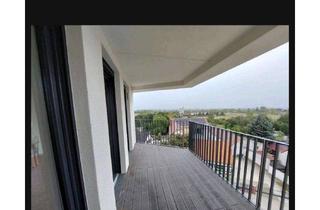 Wohnung mieten in Alt Schönefeld, 12529 Schönefeld, Neuwertige Wohnung mit zwei Zimmern sowie Balkon und EBK in Schönefeld