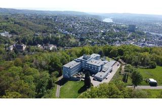 Wohnung mieten in 56179 Vallendar, Geschmackvolle 1-Zimmer-Wohnung mit Balkon und EBK in Vallendar