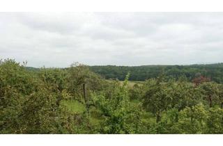 Wohnung mieten in Hülenbergstraße 51, 72622 Nürtingen, Moderne Wohnung angrenzend an Obstbaumwiesen und Aussicht auf Wald und Burg