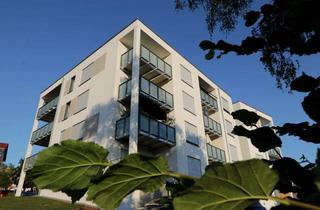 Wohnung mieten in Eichendorffstraße 17, 97941 Tauberbischofsheim, Tauberbischofsheim: Moderne, barrierefreie 3-Zimmer-Wohnung mit Einbauküche und Balkon