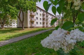 Wohnung mieten in Hohepfortestraße 12, 39106 Alte Neustadt, Das wird ein Schmuckstück. Wir sanieren für Sie zum 15.11.2025