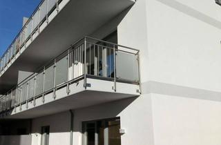 Wohnung mieten in Voss-Straße, 31157 Sarstedt, Neubauwohnung mit offener Küche