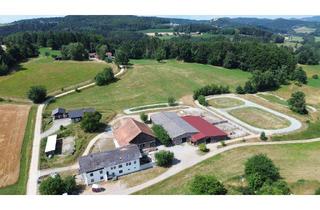 Haus kaufen in 93167 Falkenstein, Bestens arrondierter Pferdehof in ostbayerischer Urlaubsregion mit gepflegter Reitanlage und sani...