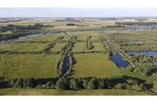 Haus kaufen in 17391 Stolpe, verträumtes Reihenendhausgrundstück in super Lage - direkter Naturblick über das Peenetal