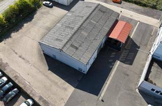 Geschäftslokal mieten in 56218 Mülheim-Kärlich, Halle in Mülheim-Kärlich zu vermieten