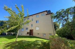 Wohnung kaufen in Reusaer Straße 17, 08529 Plauen, ++ Schnäppchen für Kapitalanleger - 2 Raum mit Einbauküche & Stellplatz ++