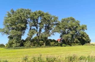 Haus kaufen in 26316 Varel, *RESERVIERT* Doppelhaus mit Einliegerwohnung in Alleinlage von Varel-Streek