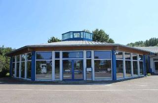 Gewerbeimmobilie kaufen in 86647 Buttenwiesen, Büro-/Ausstellungsgebäude und Hallen!