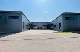 Gewerbeimmobilie mieten in Berwanger Pfad, 74193 Schwaigern, Moderne, sehr gepflegte 3-teilige Lagerhalle mit großer, befahrbarer Hoffläche davor