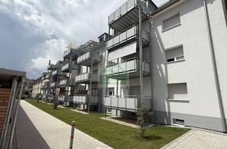 Anlageobjekt in 77654 Offenburg, Angebot für Kapitalanleger I MFH mit 7 Wohnungen in der Offenburger Oststadt - Provisonsfrei-