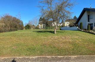 Grundstück zu kaufen in Rebenweg, 66359 Bous, Baugrundstück in Bous in sonniger Südhanglage auf dem Weinberg - ideal für Ihr Traumhaus