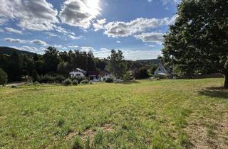 Grundstück zu kaufen in 63825 Westerngrund, Grundstück in Schöllkrippen-Huckelheim – unverbaubare Feldrandlage für Ein- oder Mehrfamilienhaus!