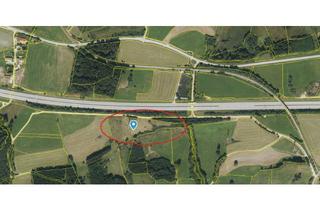 Grundstück zu kaufen in 87466 Oy-Mittelberg, 2 Grundstücke für PV-Anlage, Ausgleichsfläche etc. (teilbar)