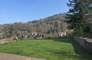 Grundstück zu kaufen in 76332 Bad Herrenalb, TRAUMGRUNDSTÜCK mit Weitblick