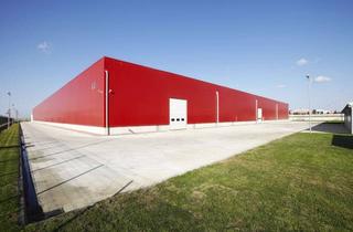 Gewerbeimmobilie kaufen in 71665 Vaihingen an der Enz, 10.000m² Brownfield in Vaihingen an der Enz