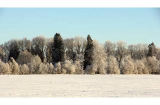 Wohnung kaufen in 78345 Moos, Weihnachten in Ihrer neuen attraktiven Wohnung: TOP-Grundriss, gehobene Austattung, Seenähe, Höri !