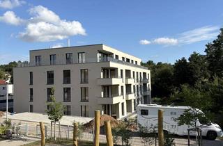 Wohnung mieten in Mühlbachstraße 29, 71711 Steinheim, Exklusive 3,5-Zimmer-Neubauwohnung mit Designer-Küche & Tiefgaragen Stellplatz zu vermieten!