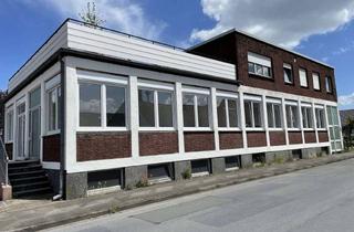 Wohnung mieten in Moltkestr. 2a, 33790 Halle, Frisch sanierte 2-Zimmer-Wohnung im Erdgeschoss