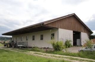Gewerbeimmobilie kaufen in 86697 Oberhausen, Gelegenheit!! Große Halle mit zwei Geschossen zum Schnäppchenpreis!!