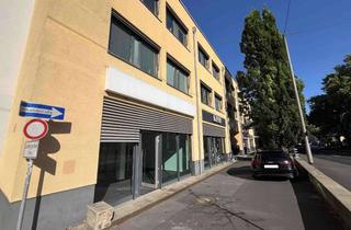 Geschäftslokal mieten in Langenbeckstraße, 55131 Oberstadt, 0% Provision: Ladenfläche direkt zwischen Einfahrt UNI-KLINIK MZ + REWE Markt