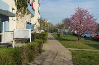 Wohnung mieten in Max-Herm-Straße 23, 14772 Brandenburg, Modern möblierte 1-Zimmer-Wohnung