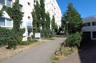 Wohnung mieten in Tschirchdamm 27, 14772 Brandenburg, Schöne Singlewohnung im 1. Obergeschoss zu vermieten