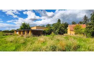 Einfamilienhaus kaufen in 04860 Torgau, Torgau - Einfamilienhaus im Grünen in ruhiger Dorfrandlage Nähe Torgau