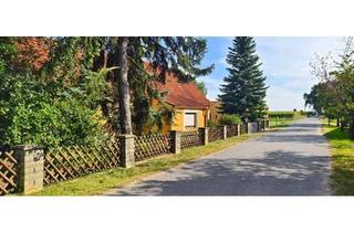 Bauernhaus kaufen in 04860 Torgau, Torgau - Black Friday Angebot - Haus im Grünen in ruhiger Lage bei Torgau