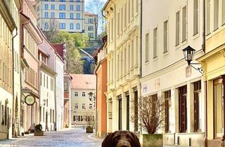 Wohnung kaufen in Schmiedestraße 27, 01796 Pirna, EIN ORT ZUM ANKOMMEN UND BLEIBEN - ETW (IM STIL EINES RH) MIT SEPARATEM ZUGANG