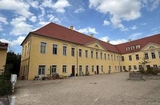 Wohnung mieten in 01665 Klipphausen, Moderne 3-Raum Wohnung in ruhiger und grüner Lage