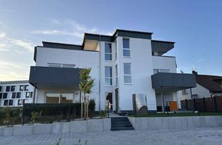 Wohnung mieten in Sandheckenweg 10a, 64823 Groß-Umstadt, NEUBAU, seniorengerechte 3- Zimmerwohnung in bester Lage von Groß-Umstadt