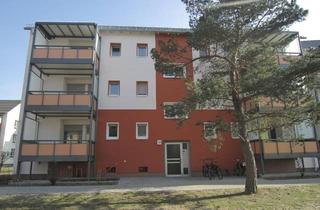 Wohnung mieten in Gartenstraße 71, 63263 Neu-Isenburg, Großzügige, modernisierte 2-Zimmerwohnung mit Tageslichtbad und großem Balkon