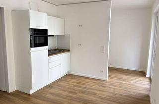 Wohnung mieten in Landfliegerstraße 10, 12487 Johannisthal (Treptow), Großzügige 1-Zimmer-Wohnung mit Einbauküche und Balkon