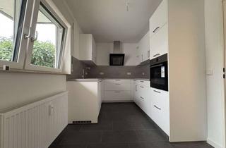 Wohnung mieten in 73102 Birenbach, Erstbezug nach Modernisierung, 3 Zi mit EBK