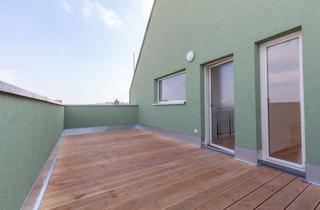 Wohnung mieten in Dryanderstraße 10, 06110 Südliche Innenstadt, Einmaliger Ausblick über die südliche Innenstadt - Familiendomizil mit Balkon & Dachterrasse