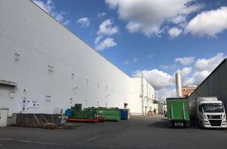Gewerbeimmobilie kaufen in 52353 Düren, Voll vermietete Light-Industrial-Halle, Produktions- und Lagerfläche in Düren